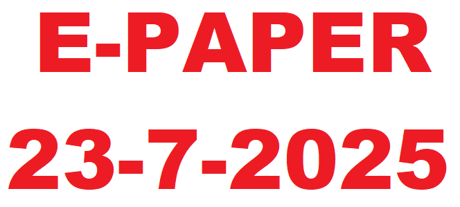 E-PAPER
