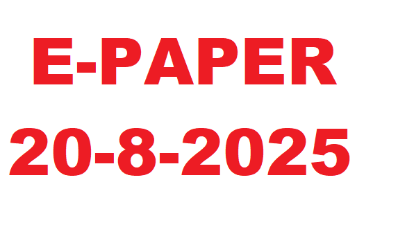 E-PAPER