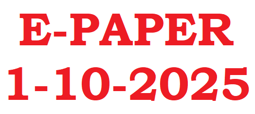 E-PAPER