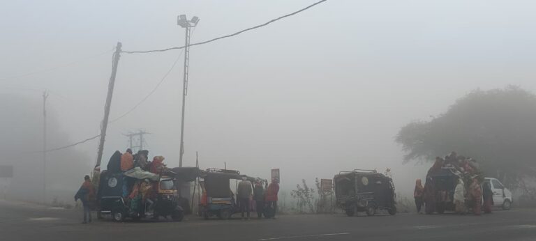 सैलाना में घना कोहरा छाया रहा, लेकिन मजदूरी के लिए मजदूरों के कदम नहीं थमे