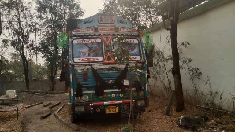 महू में अवैध जलाऊ लकड़ी से भरा ट्रक जब्त