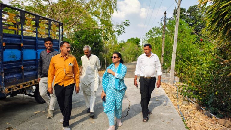 वृंदावन गांव की तर्ज पर विकसित होगा बनेडिया, सीईओ ने किया निरीक्षण